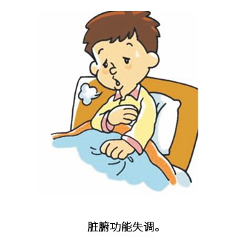脏腑功能失调。