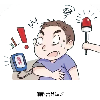 细胞营养缺乏。