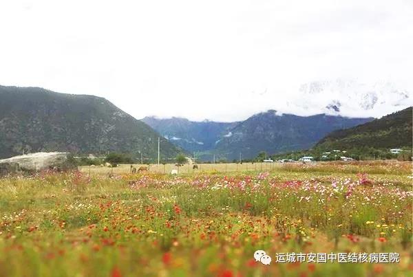 雪域高原